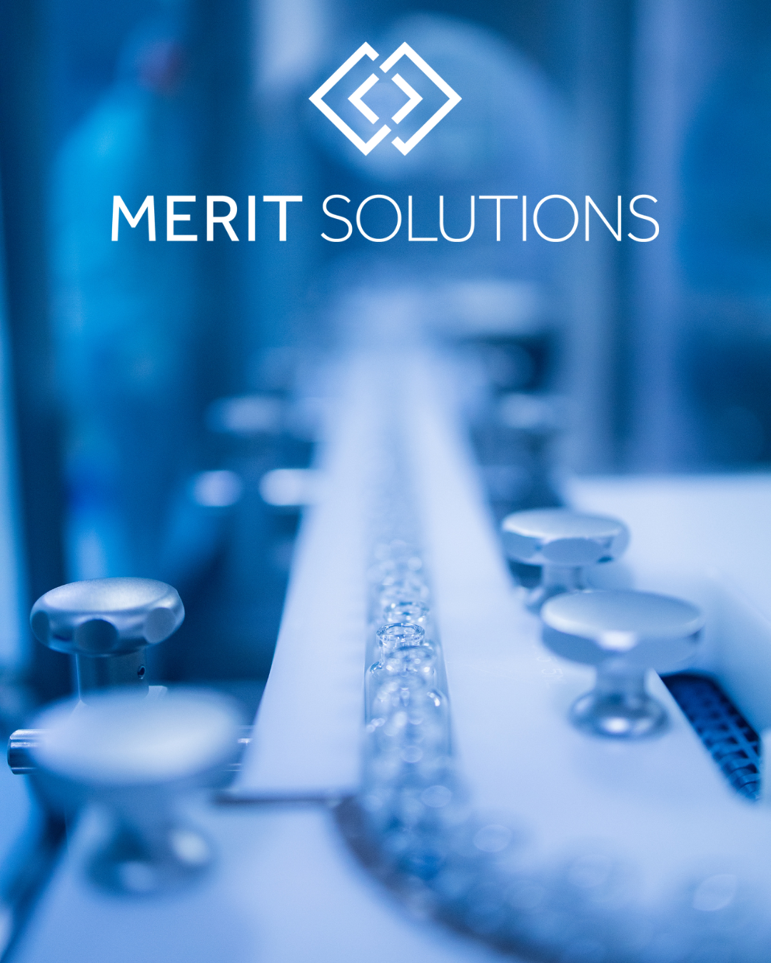 MERIT SOLUTIONS D365